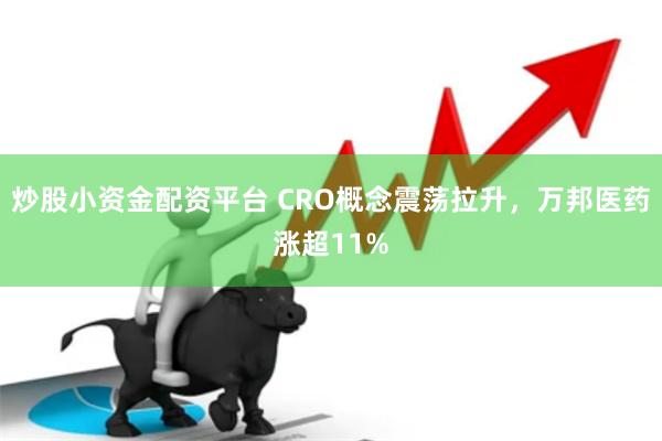 炒股小资金配资平台 CRO概念震荡拉升，万邦医药涨超11%