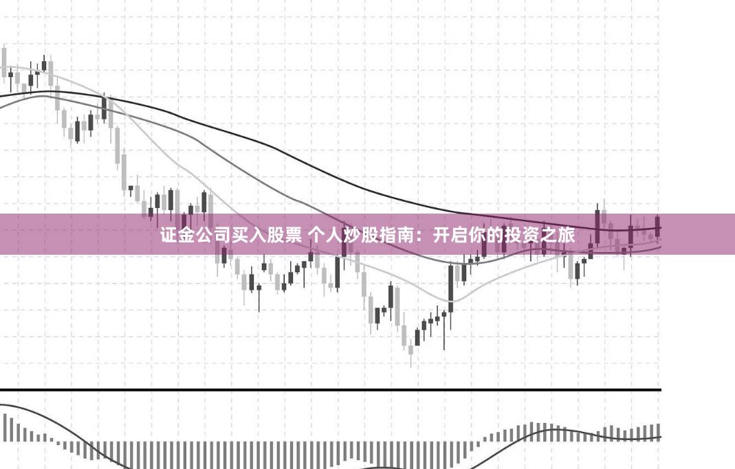 证金公司买入股票 个人炒股指南：开启你的投资之旅