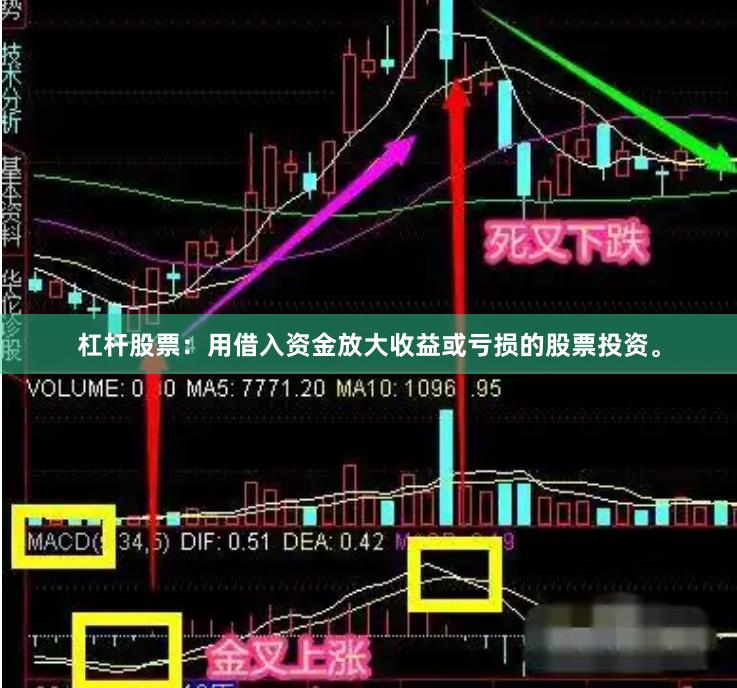 杠杆股票：用借入资金放大收益或亏损的股票投资。