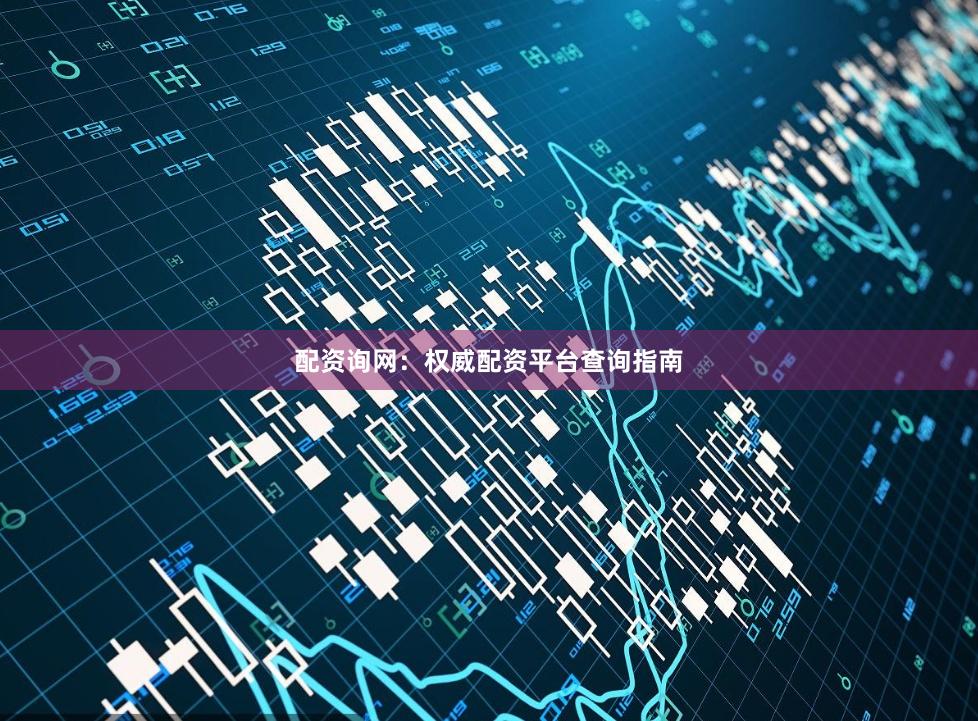 配资询网：权威配资平台查询指南